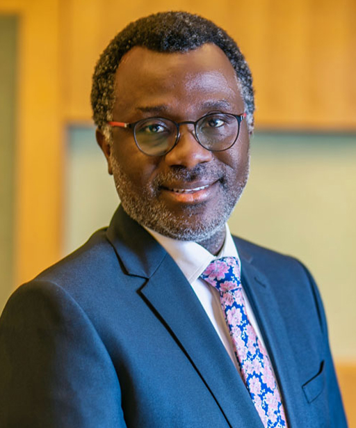 Godwin-Omoaka-SAN-FCIArb Godwin-Omoaka-SAN-FCIArb
