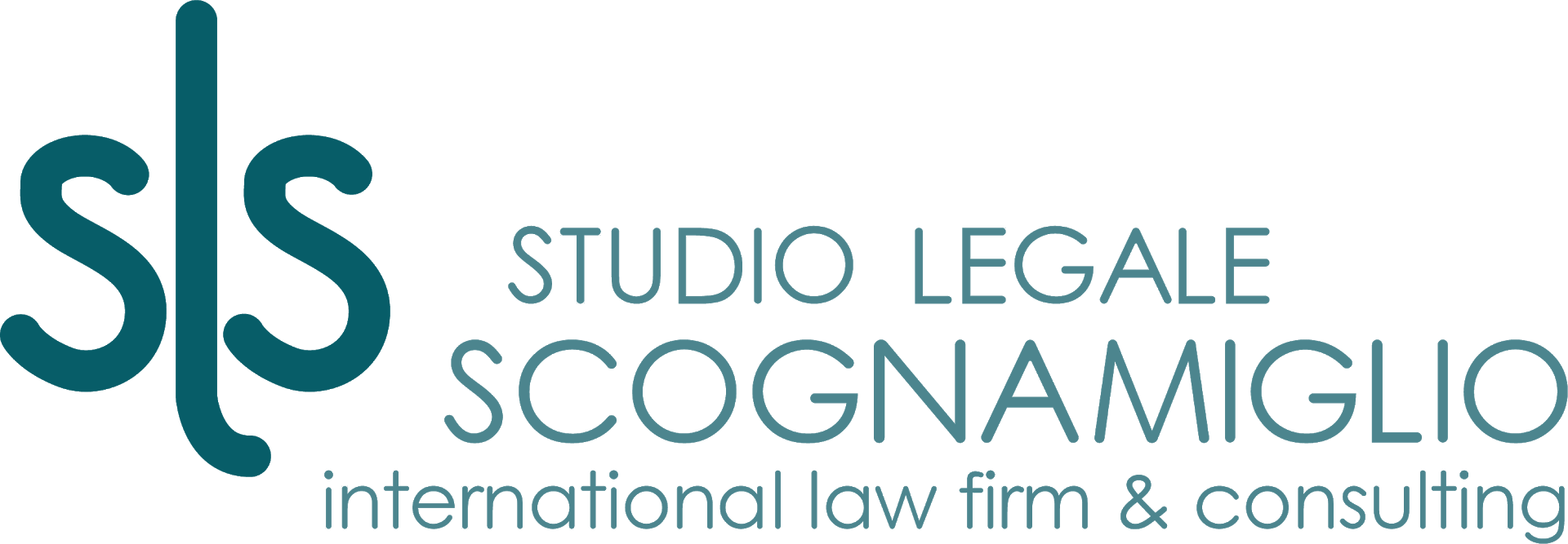 Logo of SLSLEX International Law Firm & Consulting