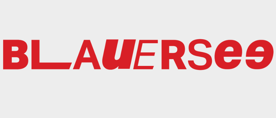 Logo of Blauersee Consulting