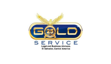 Logo of Gold Service