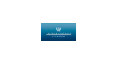 Logo of Insesa & Abogados Consulting
