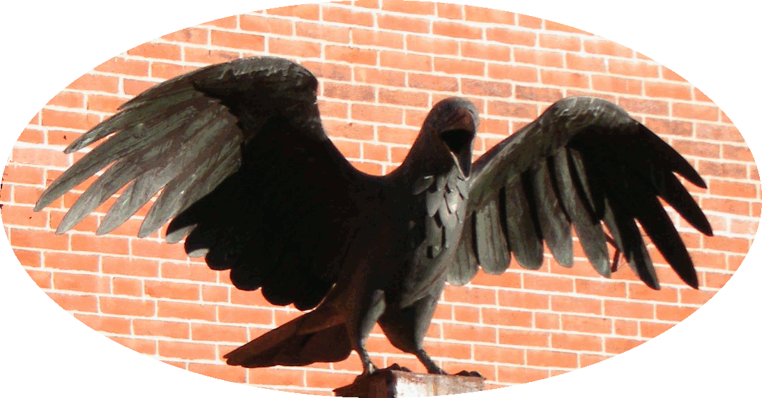 The Law Office of Sophie Raven Logo